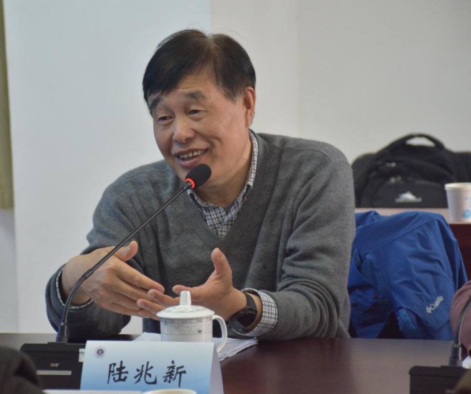 陆教授学术报告 陆教授学术报告